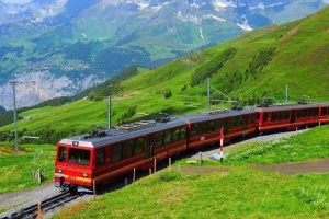 一己之力几片文字，撼动不了世道儿