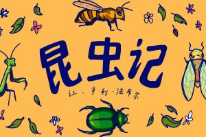 科普益智《昆虫记》10节（MP4格式）视频合集【百度云网盘下载】