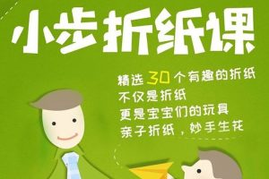 艺术美育《手工折纸课》30课(AVI/1.75GB)视频合集【百度云网盘下载】