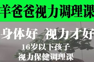 父母课堂《羊爸爸丨16岁以下孩子的视力保健调理课》视频课程(MP4/3.56GB)资源合集【百度云网盘下载】