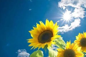 上海疫情很多宝宝被隔离，愿他们一切安好！