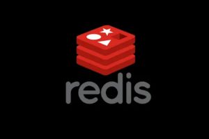 知识充电《Redis从入门到高可用，分布式实践》视频课程(3.33GB)资源合集【百度云网盘下载】