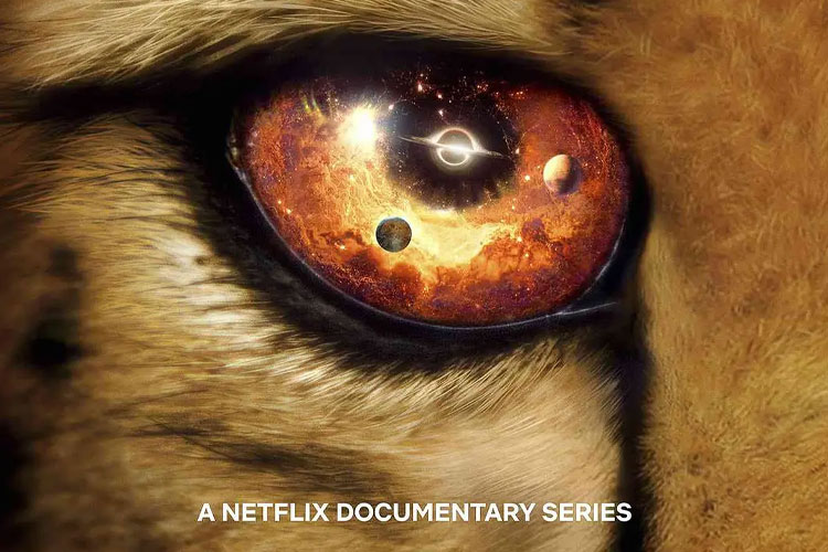 【特权福利】纪录片《我们的浩瀚宇宙》(2022) 全6集 英语 官方中字