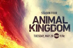 美剧《野兽家族》1-5季(MP4/MKV/42.82GB)原声中字/视频合集【百度网盘下载】