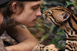 【特权福利】纪录片《野猫》(2022) HD 原声 官方中字