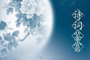 儿童文学《古诗词鉴赏与默写丨麻静 田园》1-4季(MP4/15.13GB)视频合集【百度云网盘下载】