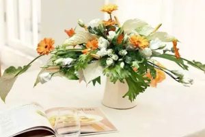 兴趣爱好《开始插花吧：开启有香有色的生活》视频(MP4/4.14GB)资源合集【百度云网盘下载】