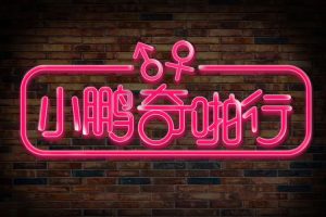 综艺《小鹏奇啪行》真人秀(MP4/40.53GB)资源合集【百度云网盘下载】