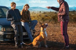 电影《流浪狗(2023)》89分钟(MP4/19.96GB)高清视频/原声中字/资源合集【百度云网盘下载】