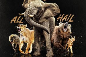 纪录片《大自然的女王(2024)》全7集(MP4/24.09GB)高清视频/原声中字/视频合集【百度云网盘下载】