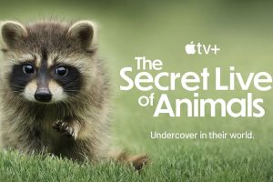 纪录片《动物的秘密生活(2024)》全10集(MP4/12.10GB)高清视频/原声中字/资源合集【百度云网盘下载】