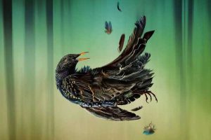 澳剧《格蕾西的招魂游戏/Playing Gracie Darling》全6集(MP4/9.2GB)高清视频/原声中字/资源合集【夸克云网盘下载】