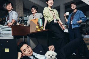 韩剧《公益律师/프로보노》全12集（2025）